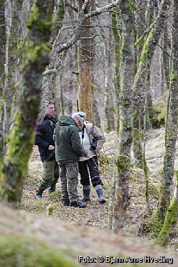Bjørn Ove Høyland, Jan Kåre Ness og Marie Solberg studerer en blå kvist